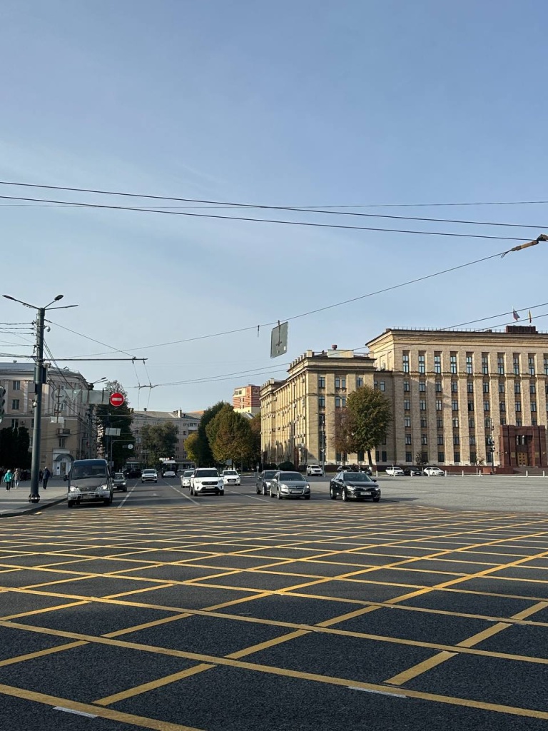 В Воронеже на площади Ленина, возле театра оперы и балета, а также рядом с Никитинской библиотекой появилась вафельная разметка