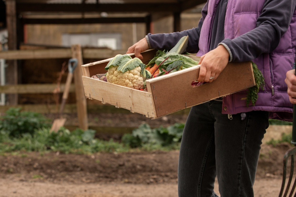 Ростовская область удвоит выплаты для земских работников культуры