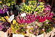 Рынок цветочной розницы в России: стагнация в мегаполисах на фоне роста новых ИП